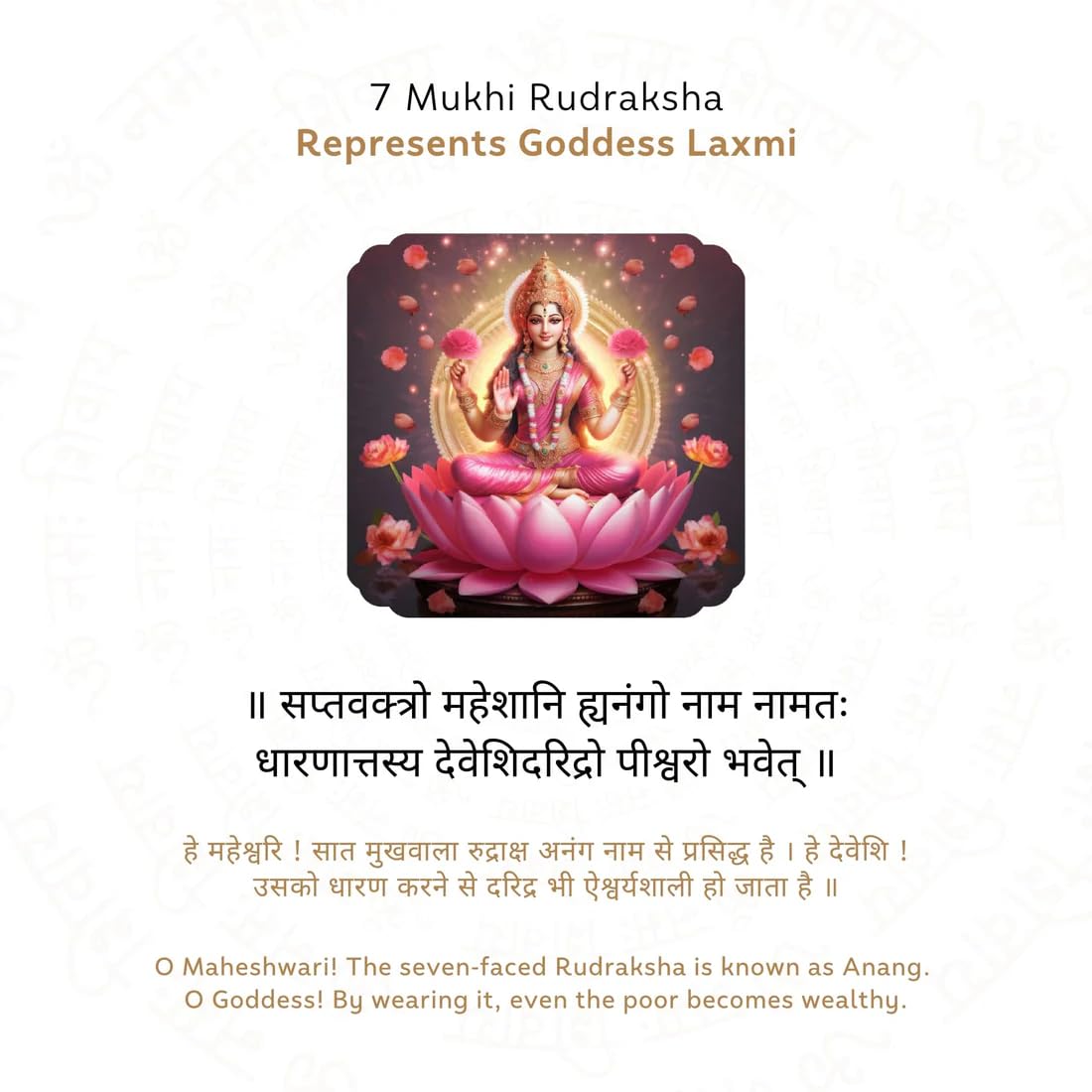 Holy Rudraksha 7 Mukhi Rudraksha – Nepal Origin | Natural & Certified view 5