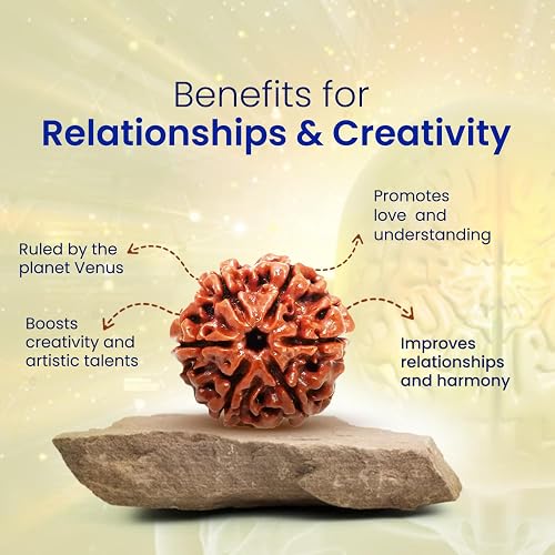 Holy Rudraksha 6 Mukhi Rudraksha β Nepal Origin | Natural & Certified view 4
