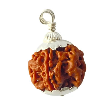 Holy Rudraksha 1 Mukhi Rudraksha – Nepal Origin | Natural & Certified image 2