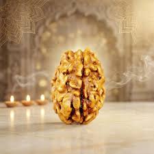 Holy Rudraksha 3 Mukhi Rudraksha – Himalaya Origin | Natural & Certified view 5