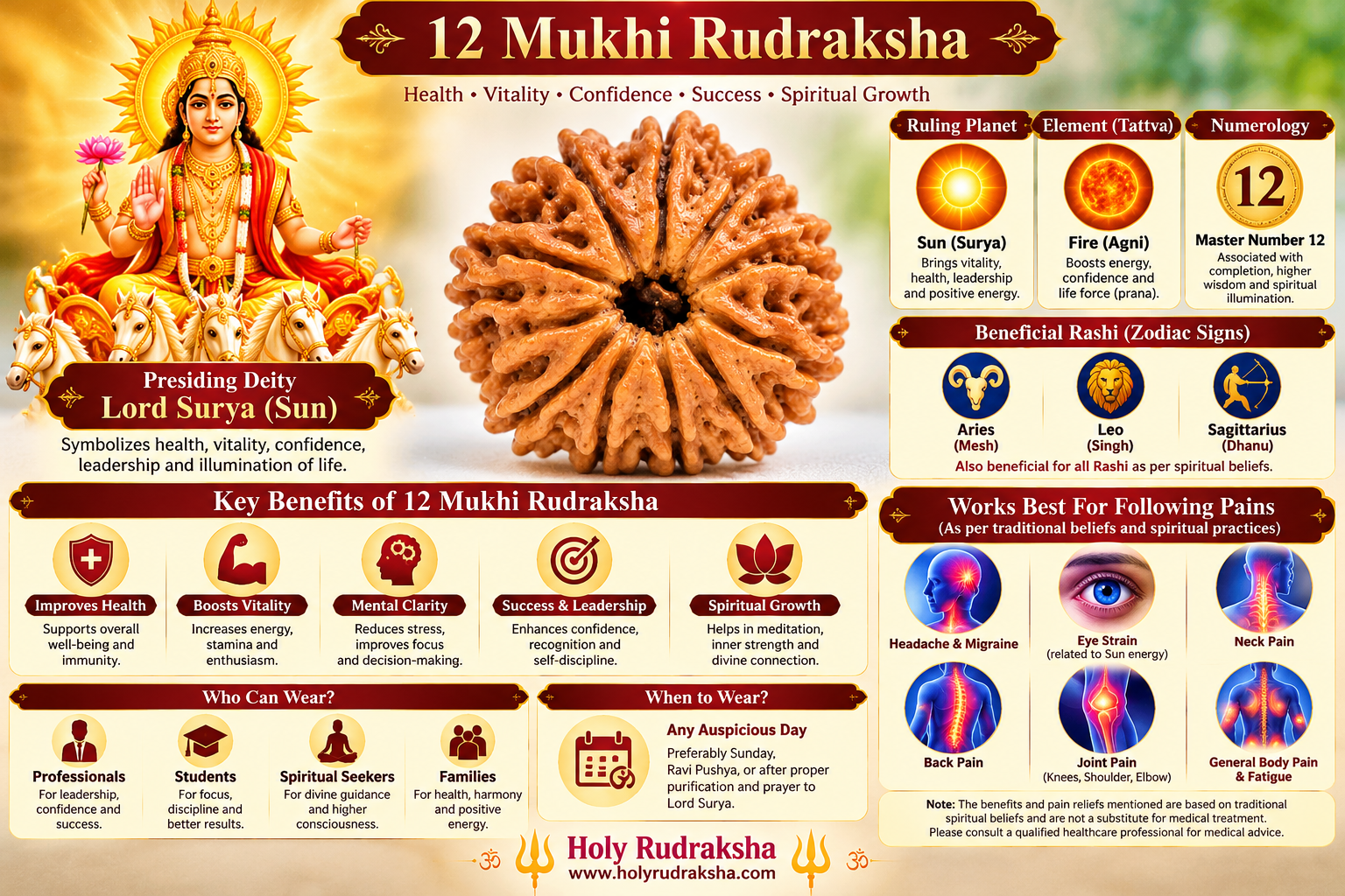 Holy Rudraksha 12 Mukhi Rudraksha – Nepal Origin | Natural & Certified view 3