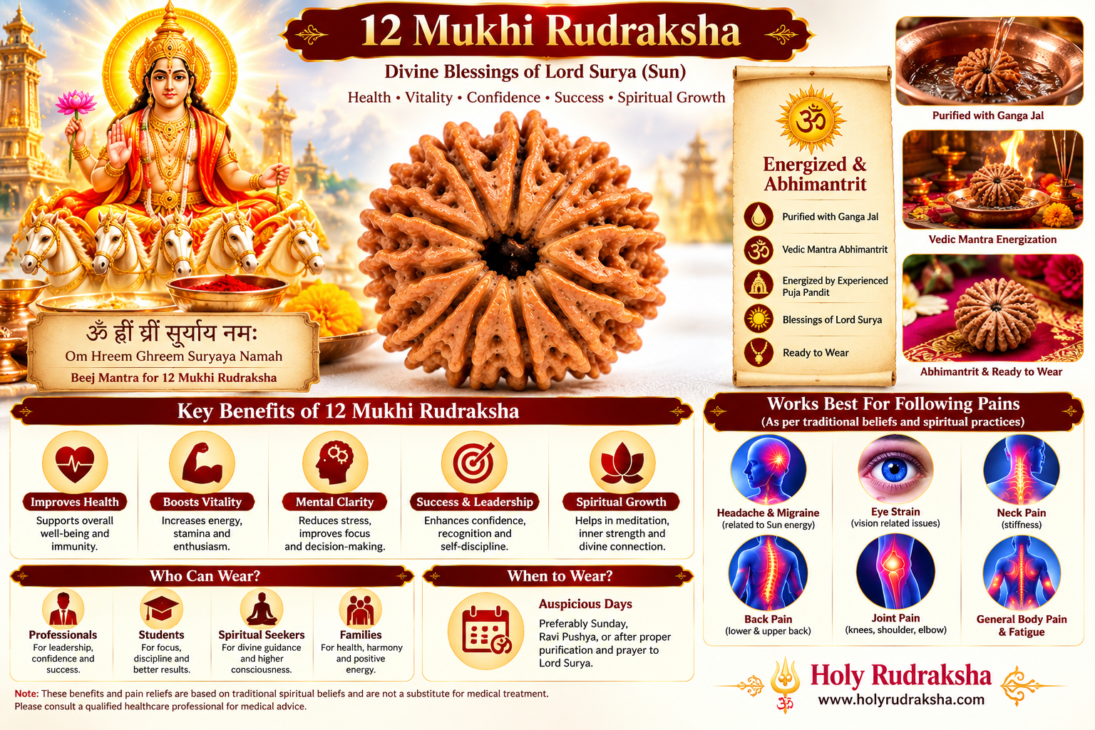 Holy Rudraksha 12 Mukhi Rudraksha – Nepal Origin | Natural & Certified view 4
