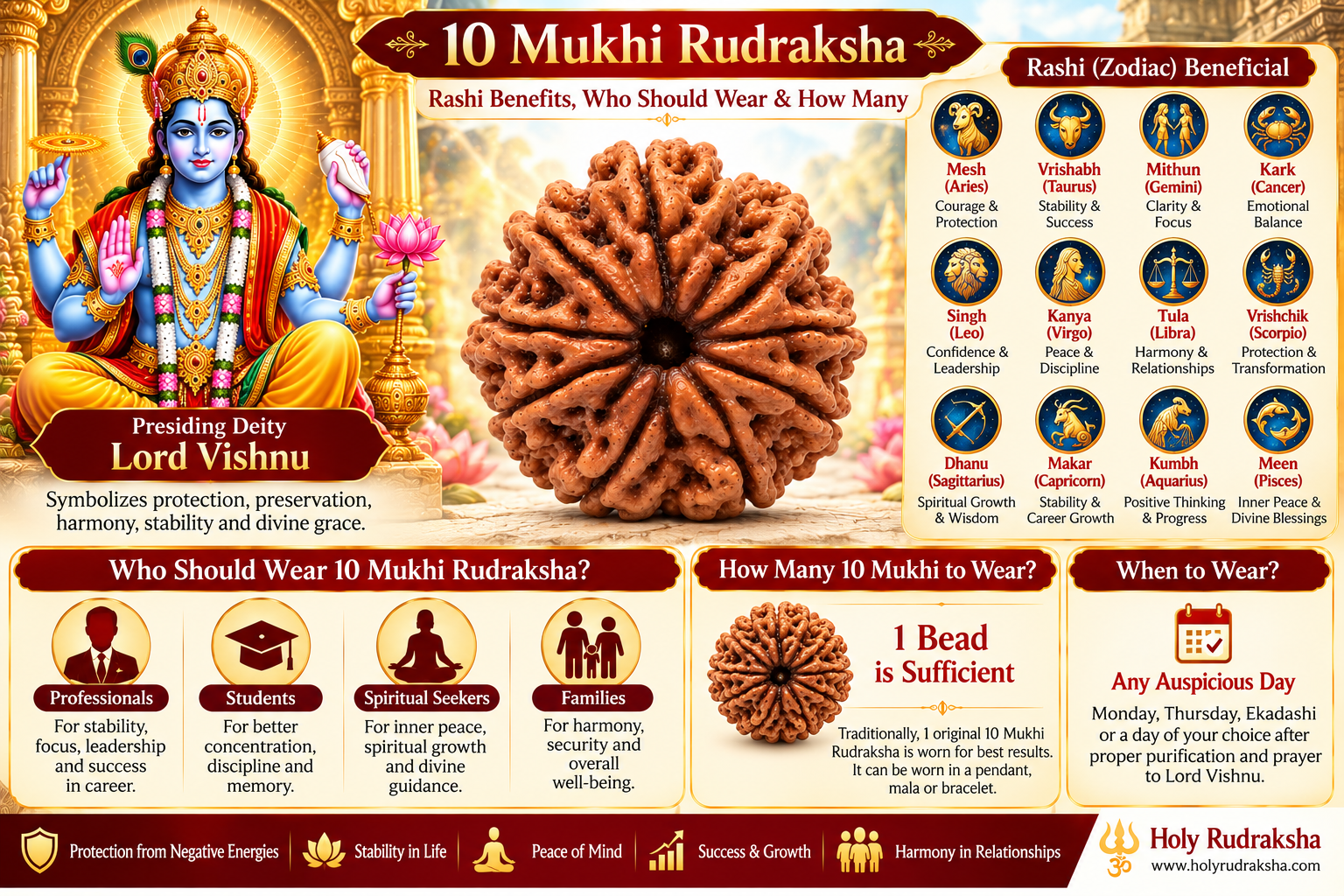 Holy Rudraksha 10 Mukhi Rudraksha – Nepal Origin | Natural & Certified view 4