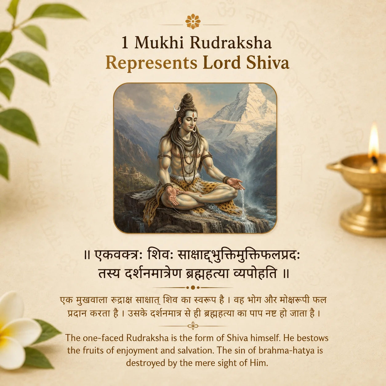 Holy Rudraksha 1 Mukhi Rudraksha – Himalaya Origin | Natural & Certified image 5